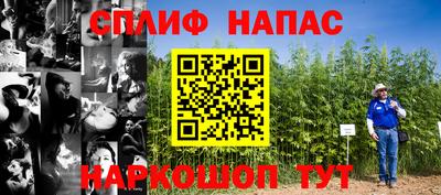 мяу мяу мука Кинель