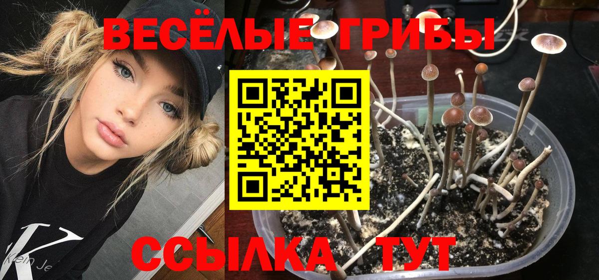Псилоцибиновые грибы прущие грибы Майский