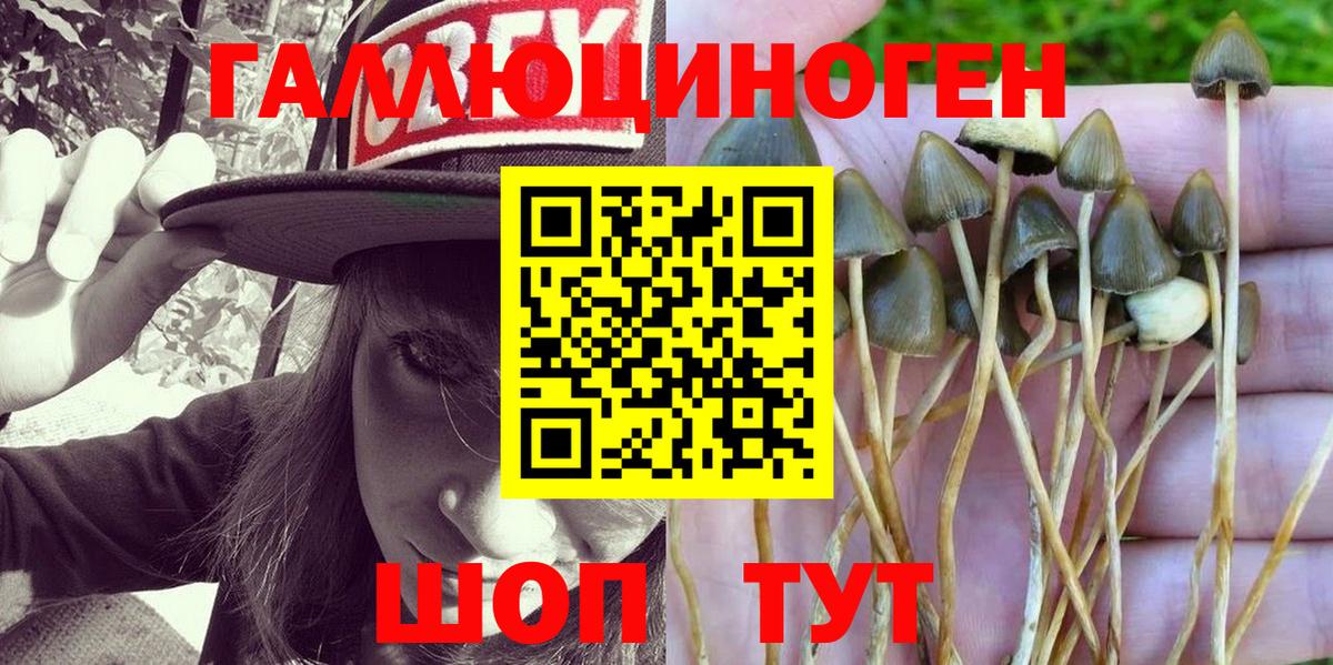 наркошоп  Вход с VPN  Майский  Псилоцибиновые грибы Psilocybine cubensis 